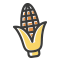 Maize