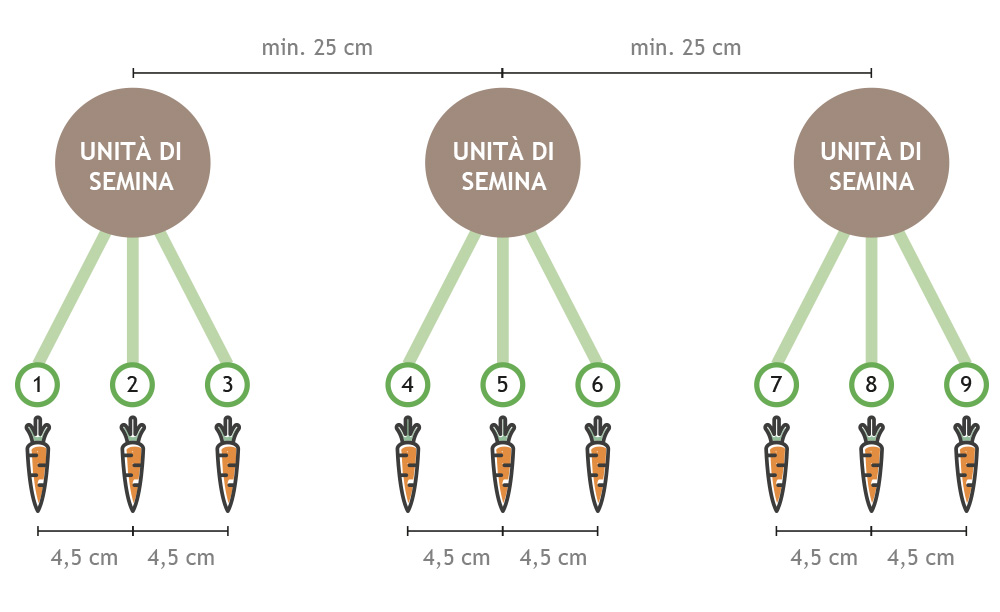 Nove linee di semina