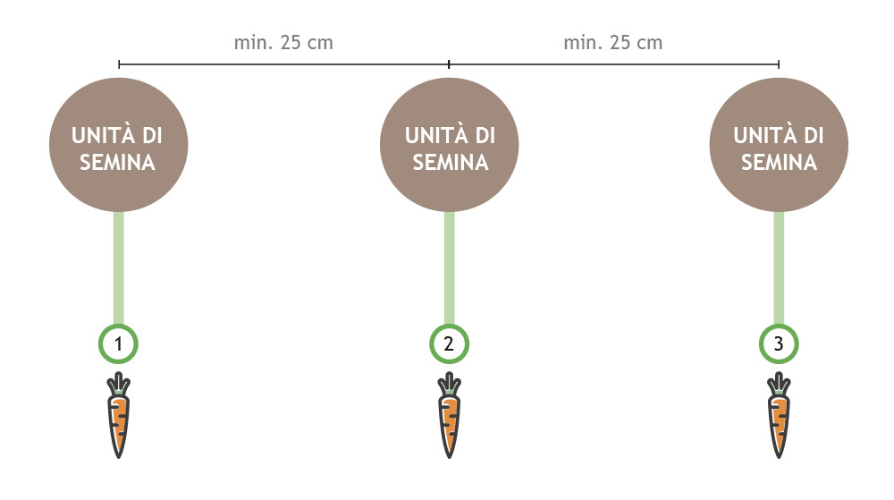 Tre linee di semina